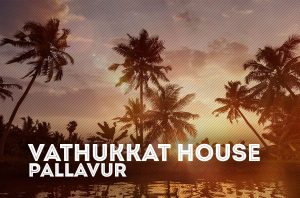 Family-Tree-of-Vathukkat-House-Pallavur-vkkutty-featured-cover